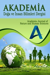 Akademia Doğa ve İnsan Bilimleri Dergisi