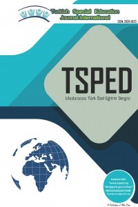 Turkish Special Education Journal: International